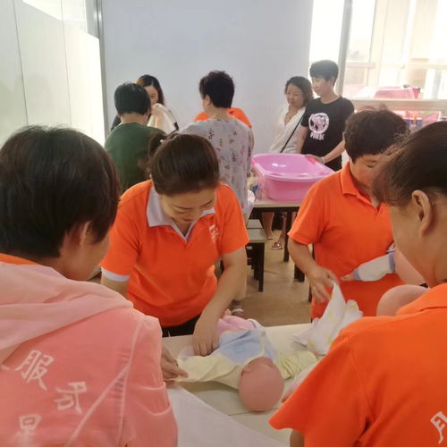 天津专业培训课程指南 营养师、月嫂与催乳师培训选择与价格解析