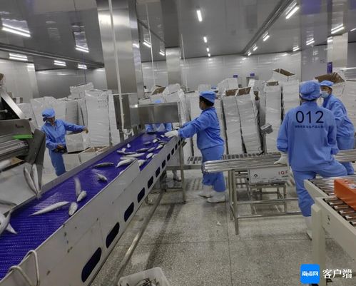 文昌约亭产业园发展驶上快车道，打造产业新高地